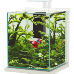 Kit aquarium Jalaya XL coloris ceruse blanc Zolux - 25 x 25 x 30 cm