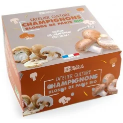 Kit de culture de champignons de Paris blonds bio Radis et Capucine grand modèle