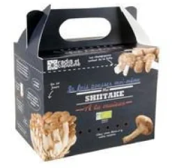 Kit de culture pour champignons shiitake bio 25x20x15 cm