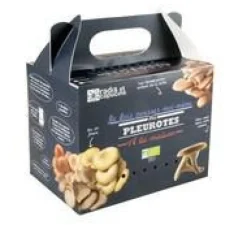 Kit de culture pour champignons pleurotes grises bio 25x20x15 cm