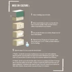 Kit de culture pour champignons pleurotes grises bio 25x20x15 cm