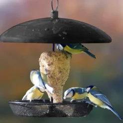 Kit de mangeoire à volonté noir en métal et cylindre Ø 25,5 x 25,5 cm