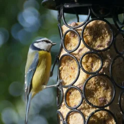 Kit de mangeoire pétillante noir en métal et cylindre Ø 12 x 25,5 cm