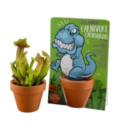 Kit de plantation graines de plante carnivore carte nature T-Rex Radis et Capucine