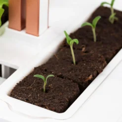 Kit de semis et bouturage pour potager Véritable®