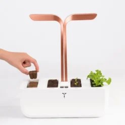 Kit de semis et bouturage pour potager Véritable®