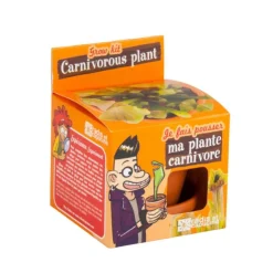 Kit Plantes carnivores avec pot et coupelle terre cuite Ø8 cm (Âge minimum 3 ans)
