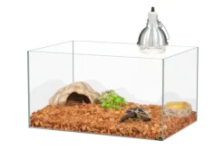 Kit pour bébé tortue terrestre coloris transparent Terratlantis - 65 x 45 x 35 cm