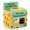Kit prêt à pousser avec pot et coupelle Radis & Capucine Mes petits Tournesols bio – Ø 8 cm