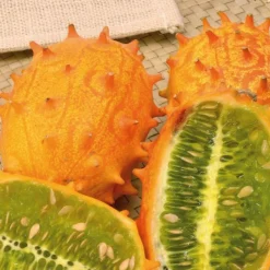 Kiwano Bio. Le pot de 9x9 cm