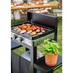 La Plancha Française gaz 250 duo noire 92 x 47 x 105 cm