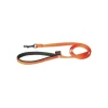 Laisse chien nylon 25 mm / 120 cm orange