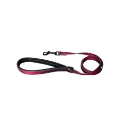 Laisse chien nylon 25 mm / 100 cm bordeaux soie