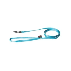 Laisse chien nylon 10 mm / 120 cm bleu