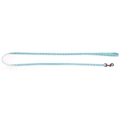 Laisse Dodo turquoise 100x1 cm