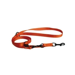 Laisse dressage 3pt orange