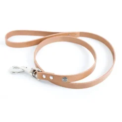 Laisse en cuir classique coloris naturel 1x100 cm