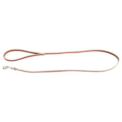 Laisse en cuir classique coloris marron 1,6x100 cm