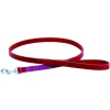 Laisse en cuir rouge à bords ronds pour chien 1,4x100 cm