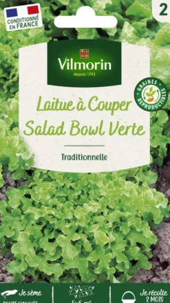 Laitue à couper Salad Bowl Verte Vilmorin - graines à semer