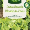 Laitue Batavia Blonde de Paris Vilmorin - graines à semer