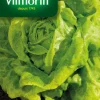 Laitue Gotte Jaune d'Or Vilmorin - graines à semer