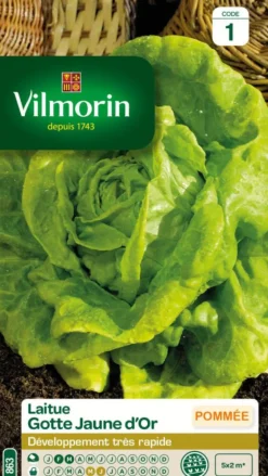 Laitue Gotte Jaune d'Or Vilmorin - graines à semer