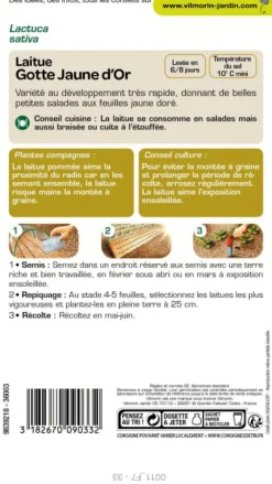 Laitue Gotte Jaune d'Or Vilmorin - graines à semer