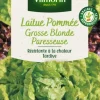 Laitue Pommée Grosse Blonde Paresseuse Vilmorin - graines à semer