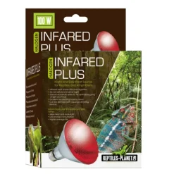 Lampe infrarouge pour terrarium Reptile Planet Infrared Plus Halogène 100W