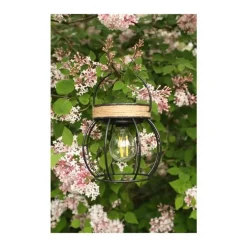 Lanterne à poser Sienna à LED H 11,5 cm