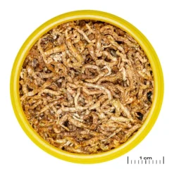 Larves de moustiques pour poissons JBL Pronovo fil M – 100 ml