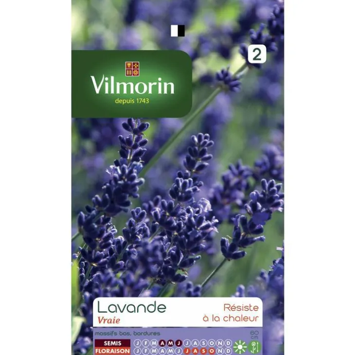 Lavande Vilmorin - graines à semer