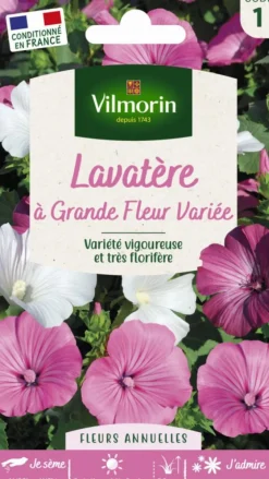 Lavatère à Grande Fleur variée Vilmorin - graines à semer