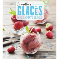Le meilleur des glaces et yaourts glacés aux éditions Artemis