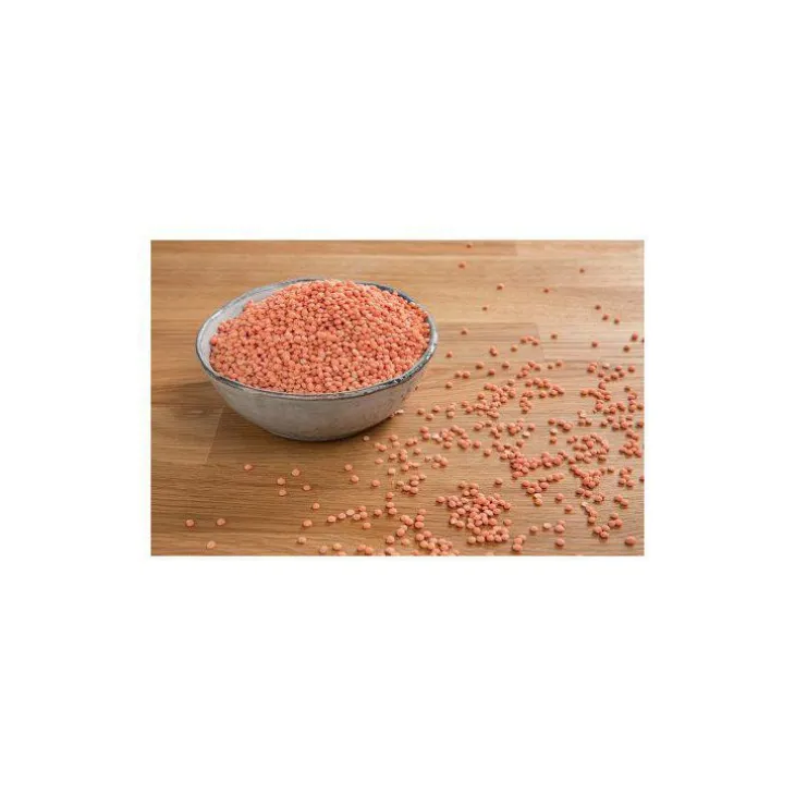 Lentilles corail - Prix au kilo