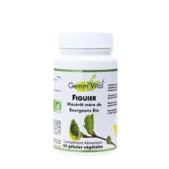 L’extrait de bourgeon de figuier bio en boite de 60 gélules