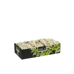 Lichen artificiel beige 500 g