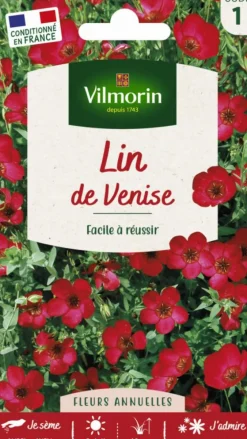 Lin de Venise Vilmorin - graines à semer