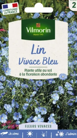 Lin Vivace Bleu Vilmorin - graines à semer