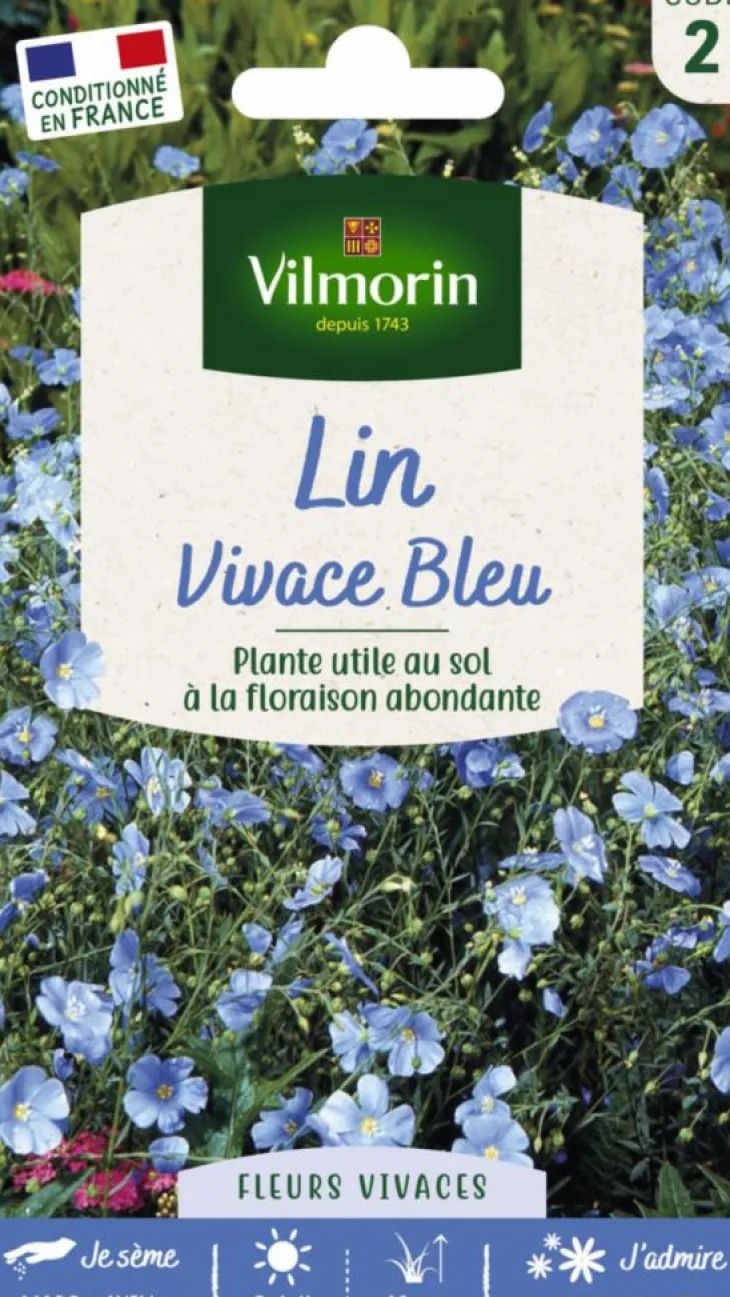 Lin Vivace Bleu Vilmorin - graines à semer