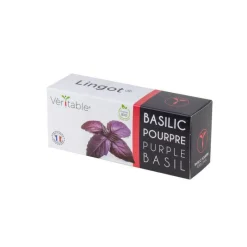 Lingot Basilic Pourpre Bio