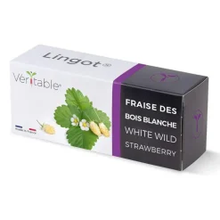 Lingot Fraises des bois blanches Bio