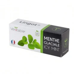 Lingot® Menthe glaciale bio pour potager Véritable