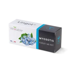 Lingot® Myosotis Véritable®