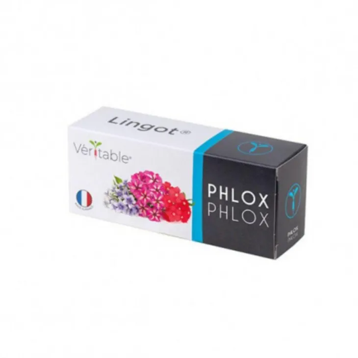 Lingot® Phlox pour potager Véritable