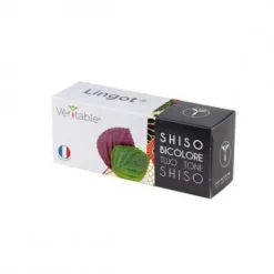 Lingot® Shiso bicolore pour potager Véritable