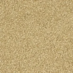 Litière en vrac pour chat, oiseau et rongeur Cat’s Best Universal - le seau de 12,4 L