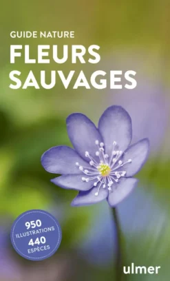 Livre Fleurs sauvages - Guide nature aux Éditions Ulmer - 192 pages
