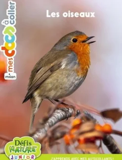 Livre gommettes "Les oiseaux" aux Éditions Milan collection Mes docs à coller